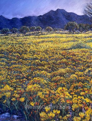 Arizona Gold by Edna Beauchemin